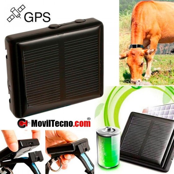 GPS solar barato localizador de ganado vacas animales