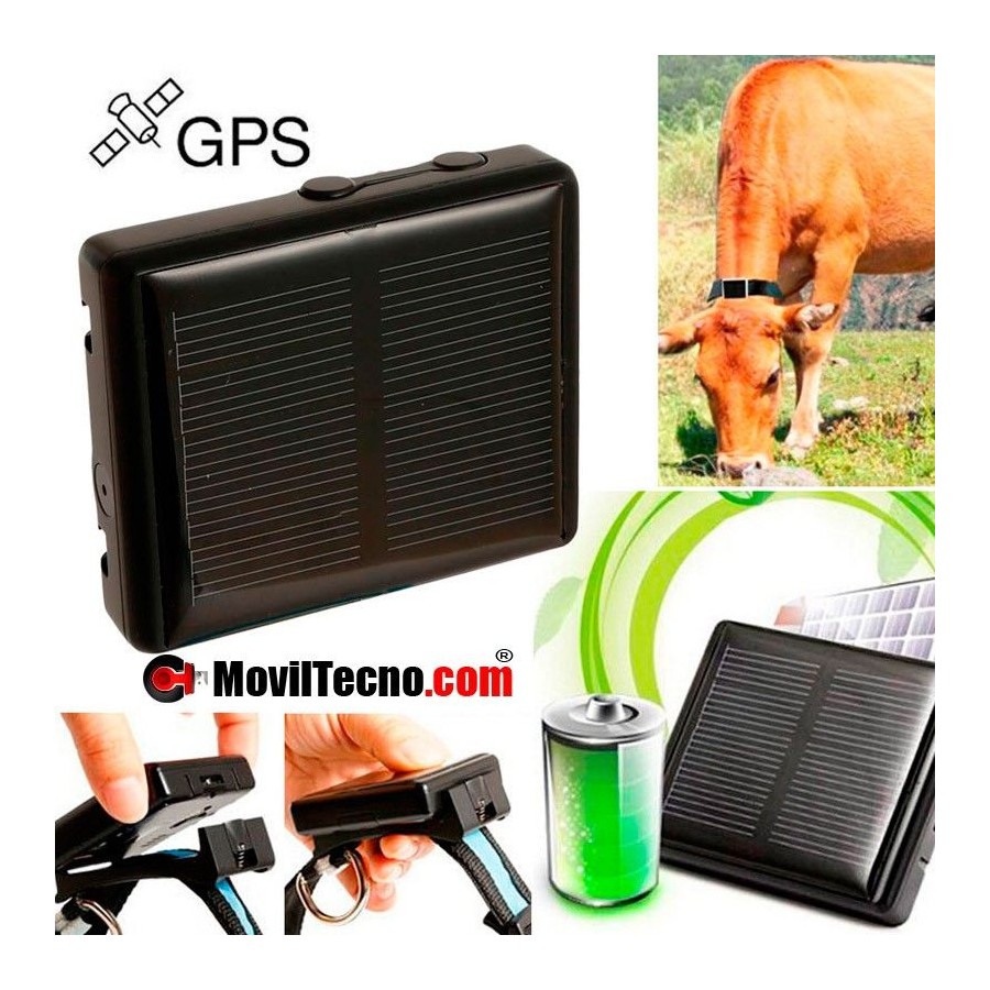 GPS solar barato localizador de ganado vacas animales
