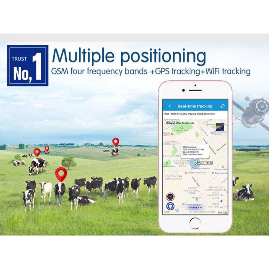 GPS para animales - Localizador de ganado y coches