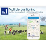 GPS para animales - Localizador de ganado y coches